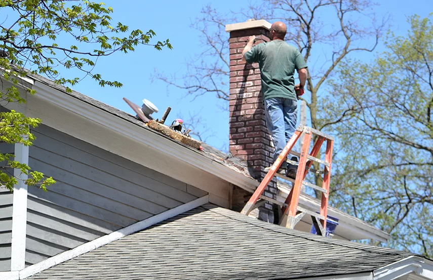 Chimney & Fireplace Inspections Services in Hazleton, PA